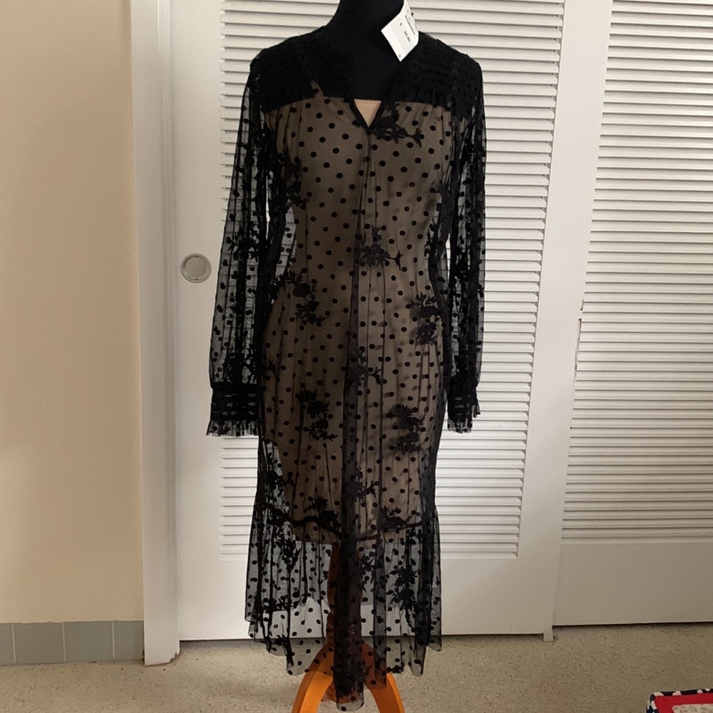 Zara sheer maxi New